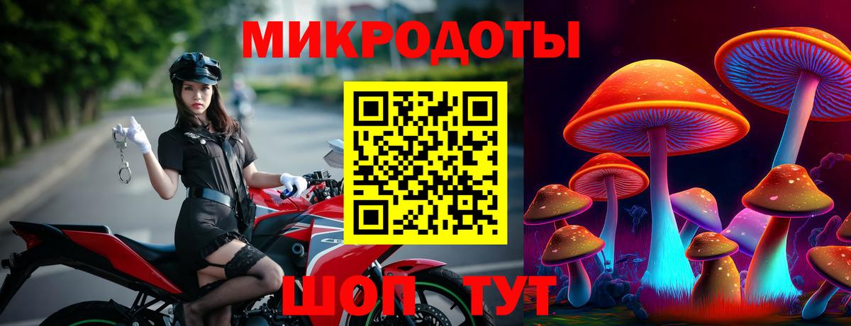 Галлюциногенные грибы Psilocybe  Вход с VPN  Севастополь  Галлюциногенные грибы GOLDEN TEACHER 